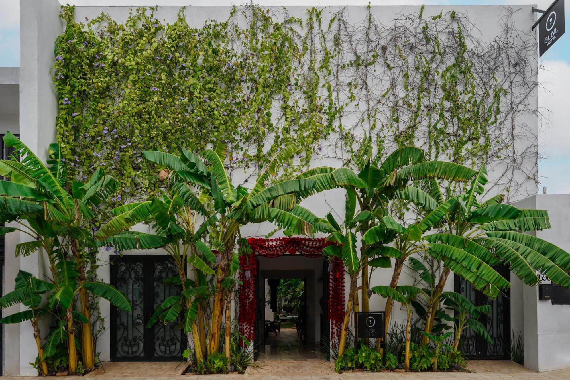 Olbil Hotel Boutique Valladolid  Exteriér fotografie